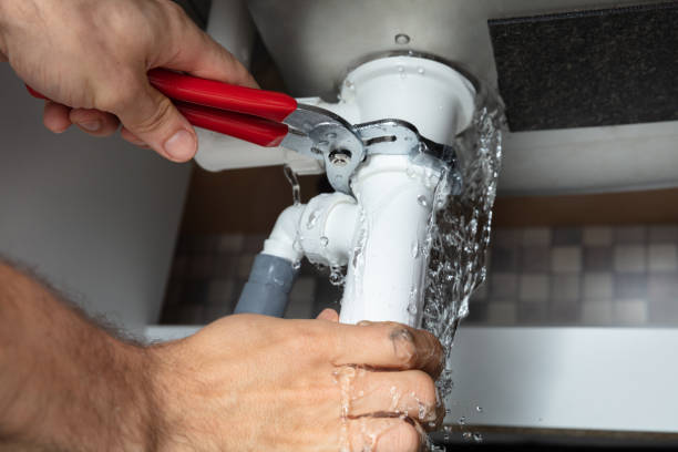 Best Mold removal after water damage  in Piketon, OH