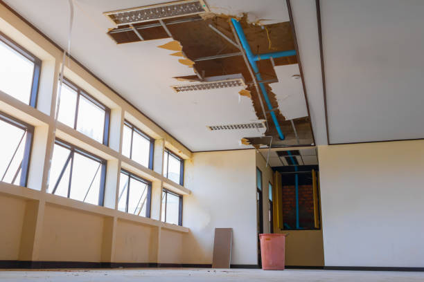 Best Fire Damage Restoration  in Piketon, OH