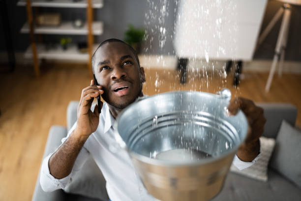 Best Water damage restoration near me  in Piketon, OH