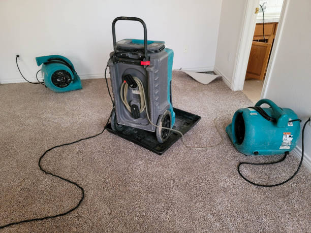 Best Carpet water damage restoration  in Piketon, OH