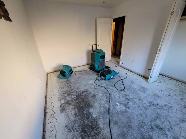 Best Water damage restoration near me  in Piketon, OH