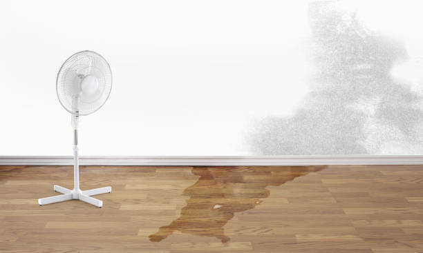 Best Water damage restoration cost  in Piketon, OH