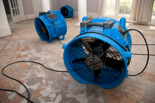  Piketon, OH Water damage restoration Pros