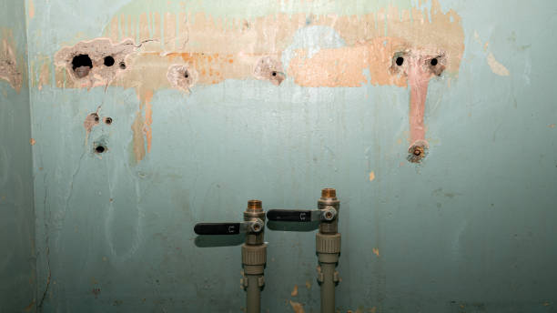 Best Water damage restoration company  in Piketon, OH