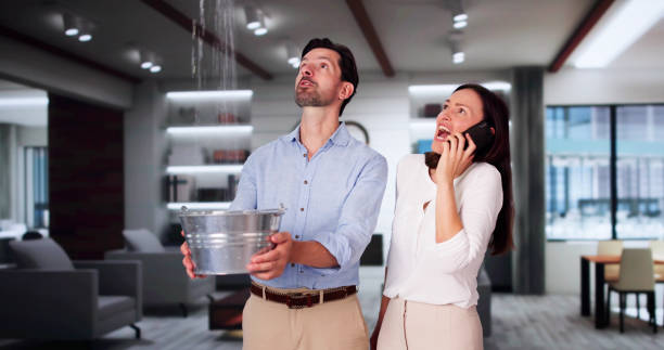 Best Water damage restoration experts  in Piketon, OH