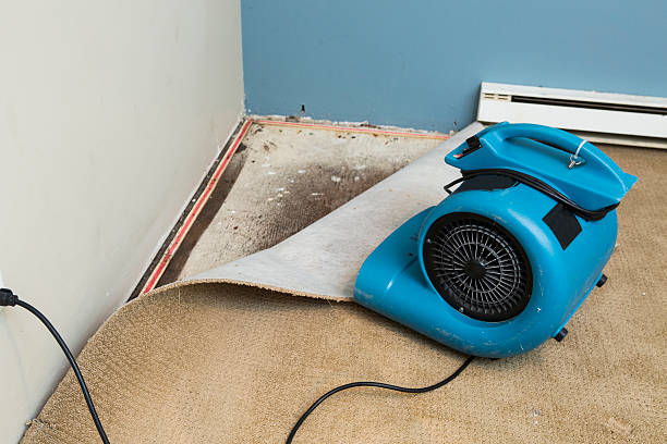 Best Water damage contractors near me  in Piketon, OH